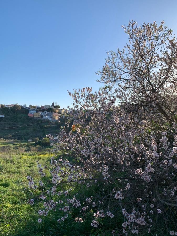 El Sosiego, Der Rueckzugsort Santa Brígida Exterior foto
